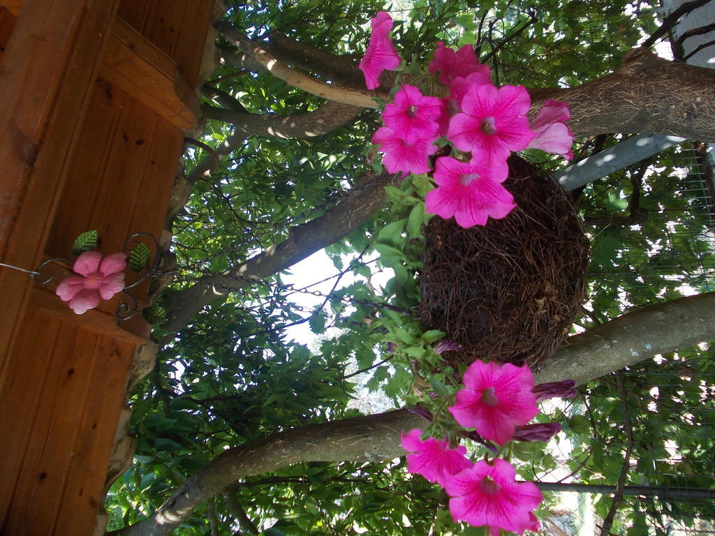 Salvanos Residence Ypsos Dış mekan fotoğraf